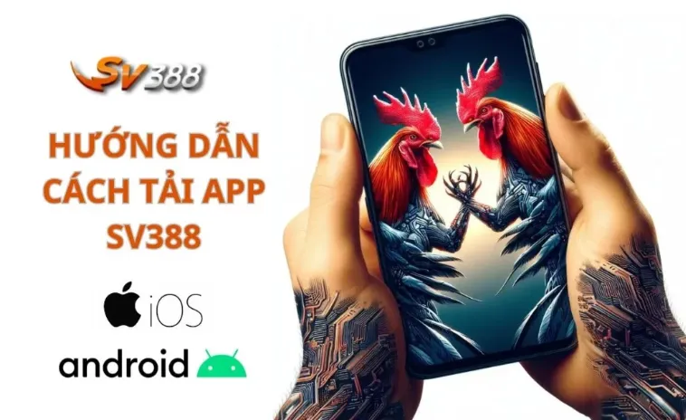 ảnh báo liên quan đến SV388