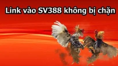 Link Vào SV388 Cách Truy Cập An Toàn Định Sân Chơi Đá Gà
