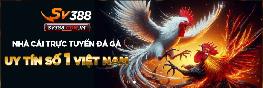SV388 sân chơi đà gà trực tuyến hàng đầu châu á 2025